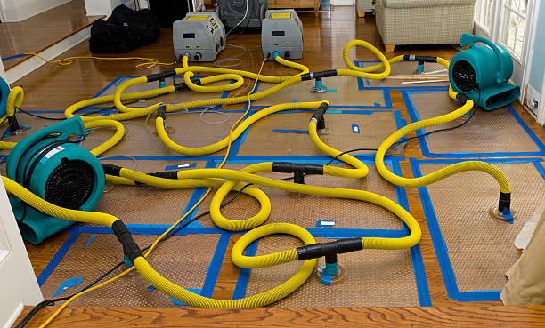 Professional Water Damage Restoration technician working in Stratford, OK